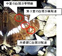 C`W`E