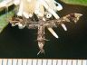 moth-image