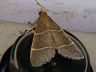 moth-image