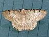 moth-image