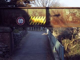 ʐ^